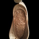 PREMIO ANIS ANVERSO FIGURA PREMIO ANIS ANVERSO FIGURA